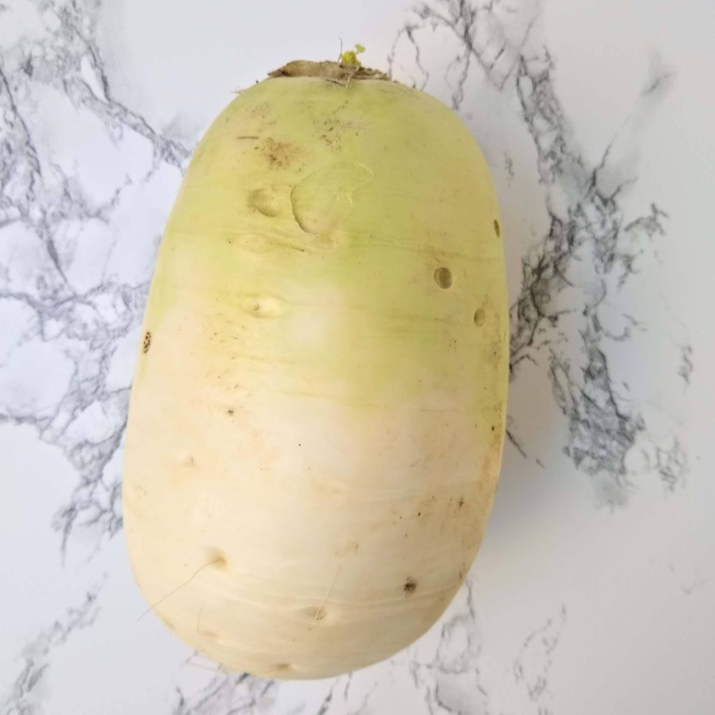 Korean Daikon