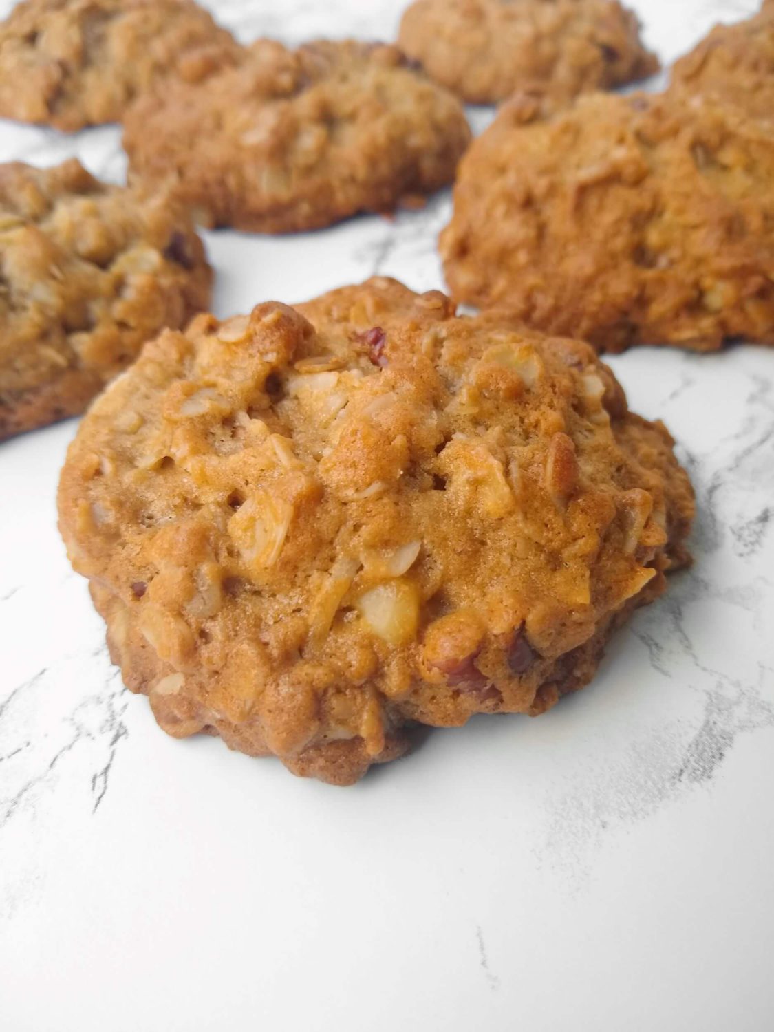 Healthy Breakfast Oatmeal Cookie Close Up