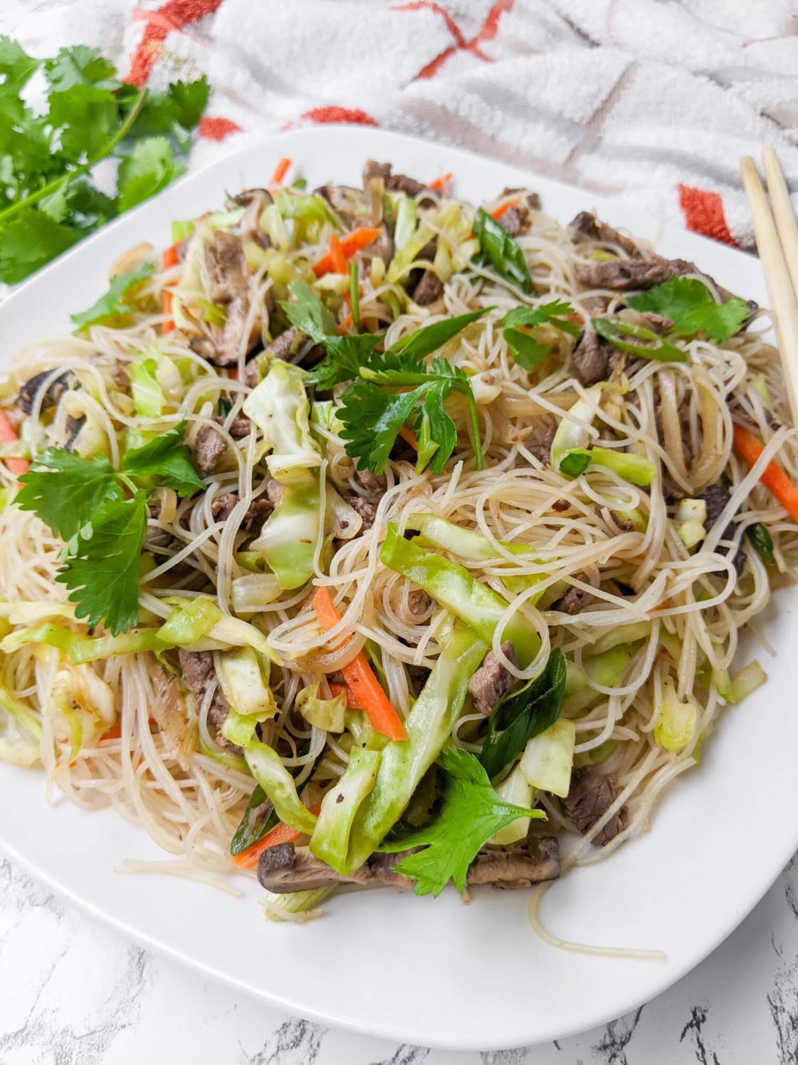 Mi Fen, Taiwanese Rice Vermicelli Stir fry, Close