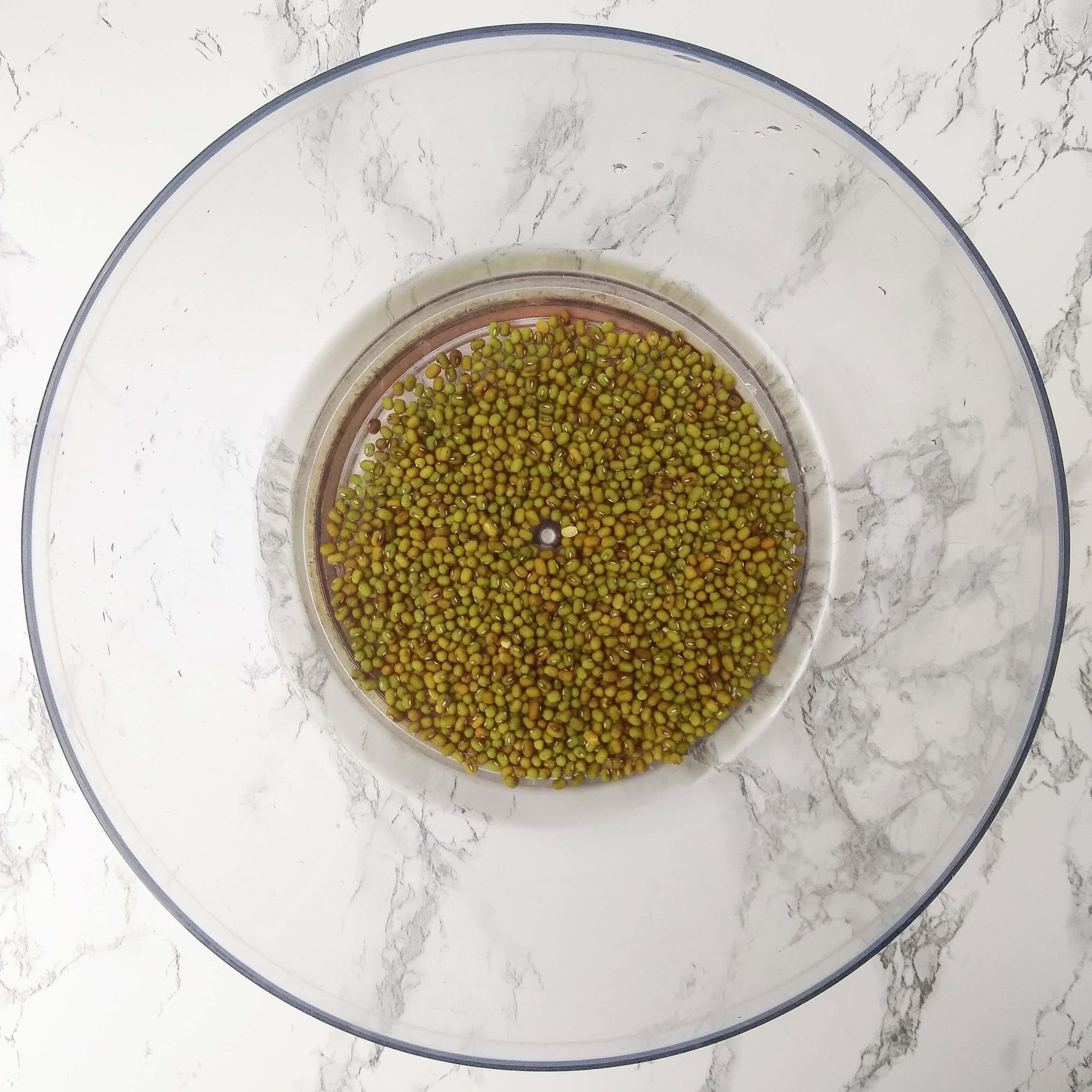 Soaking the Mung Beans